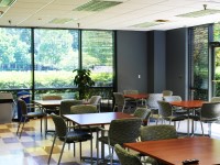 Commercial Construction