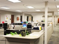 Commercial Construction